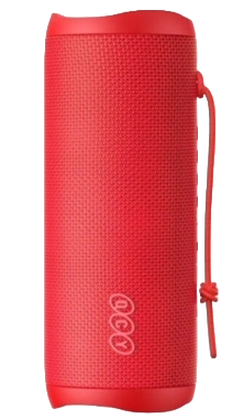 Adobe Express - file (11)